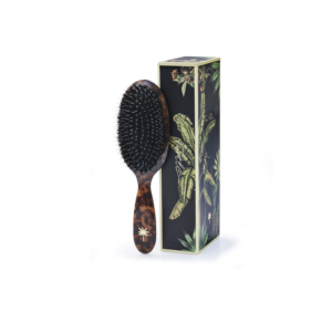 Hairbrush Medium Turtle