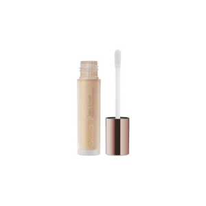 Take Cover Concealer Stone