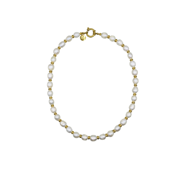Math Gold Choker